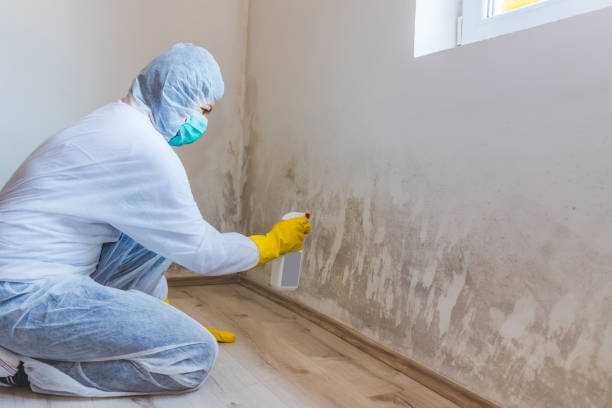 Hvac And Air Duct Mold Remediation inspection of HVAC system in Freeport